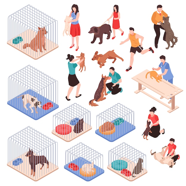 dogs and cages