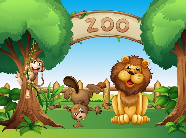 Картинка для детей zoo