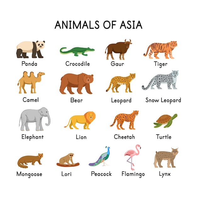 Животные Азии Фото С Названиями