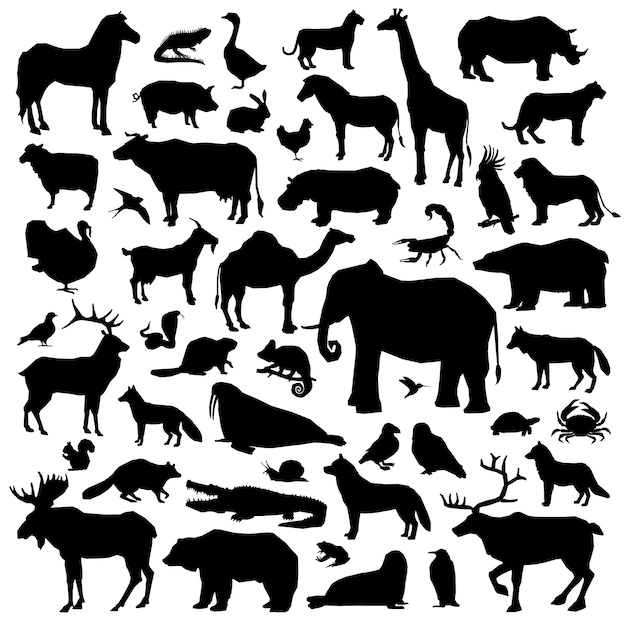 Download Animal Silhouettes Images | Free Vectors, Stock Photos & PSD