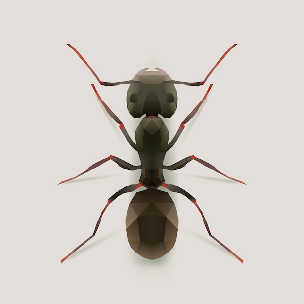 Premium Vector Ant, realistic polygon illustration