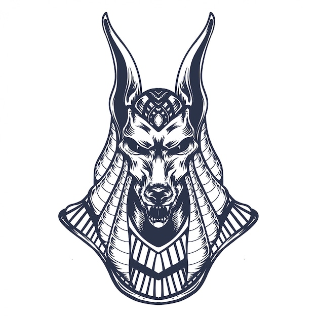 Premium Vector | Anubis line art illustration