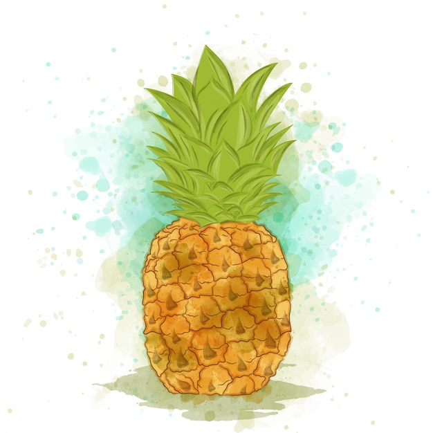 Download Appetizing watercolor pineapple Vector | Premium Download