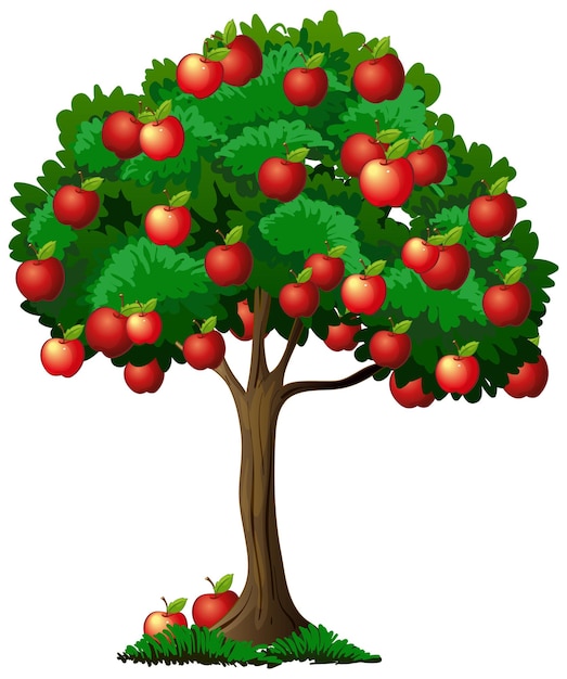 Free Vector | Apple tree isolated on white