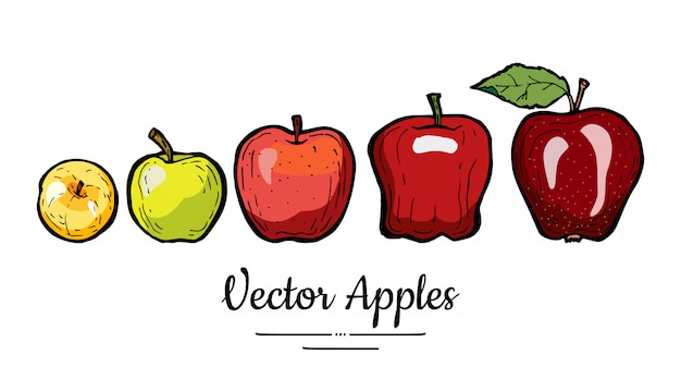 りんごのベクトルが分離されました 葉とリンゴ全体 黄色緑赤い果物は手描き下ろしイラストです プレミアムベクター