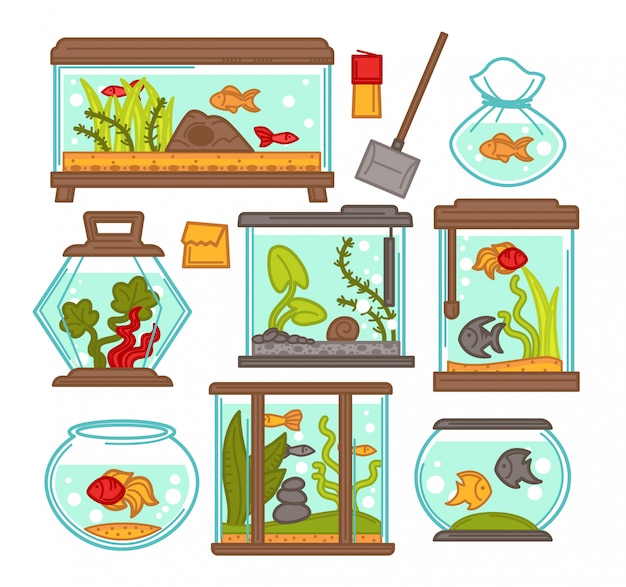 Download Premium Vector | Aquarium fish tank vector elements