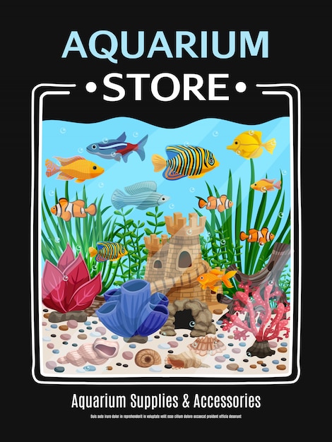 aquarium accessories store