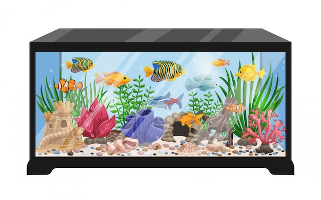 Download Aquarium tank cartoon illustration | Free Vector