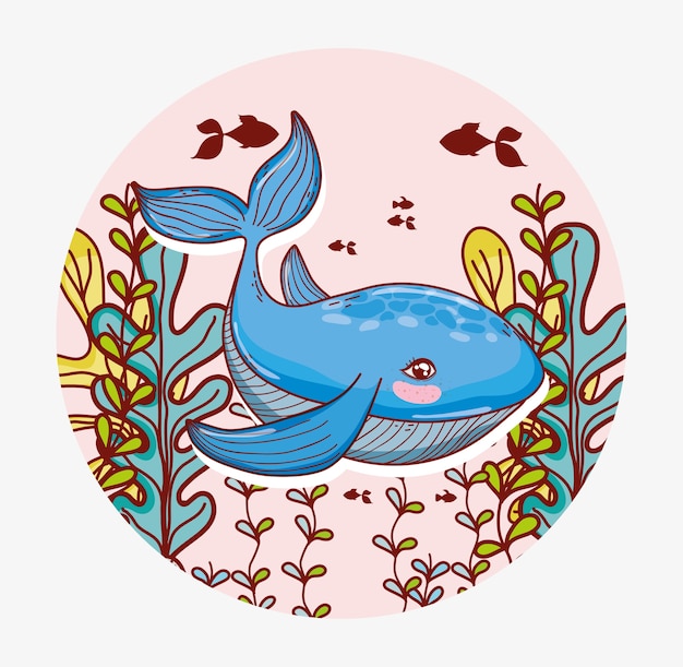 Premium Vector | Aquatic marine life