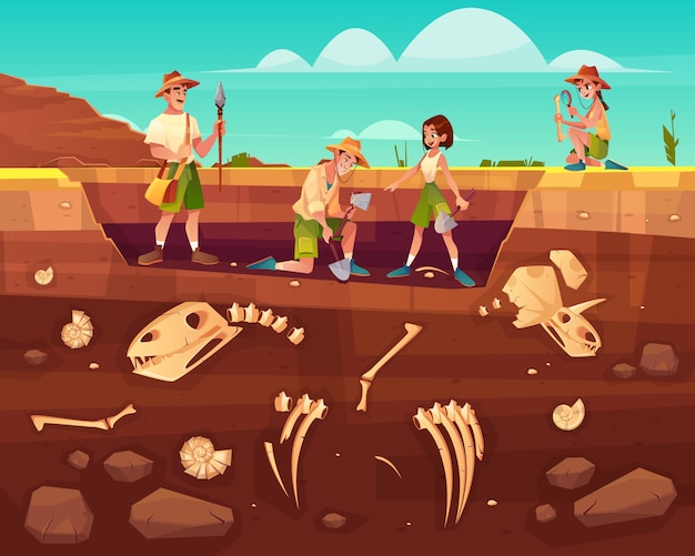 Archaeologists, paleontology scientists working on excavations Vector