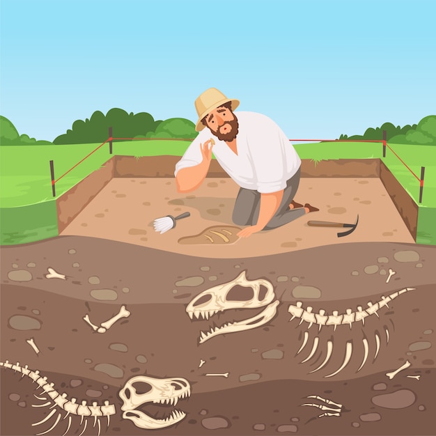 dino excavation