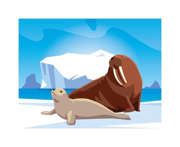 北極の北極動物 プレミアムベクター