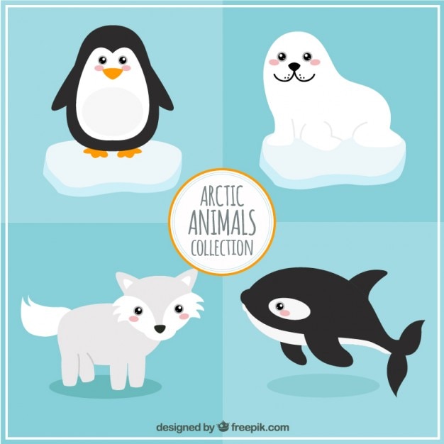 free clip art arctic animals - photo #24