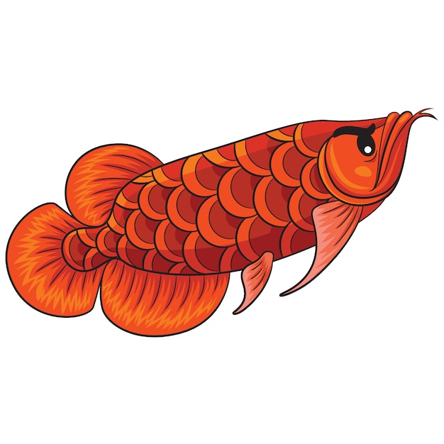 Download Arowana fish cartoon Vector | Premium Download