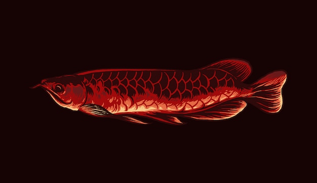 プレミアムベクター アロワナ魚のイラスト
