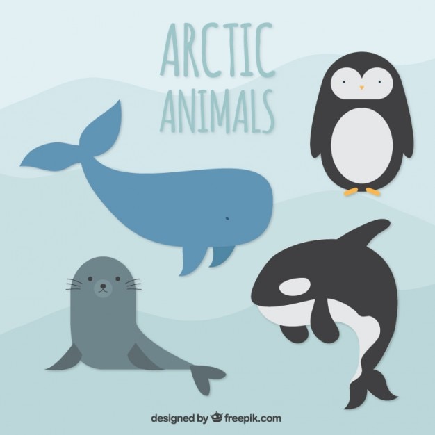 Artic animals