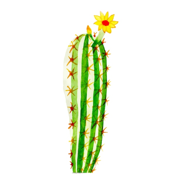 Download Artistic watercolor cactus | Premium Vector