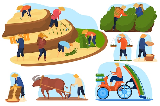 アジアの農場の田んぼベクトルイラストセット 漫画フラット農家の人々は段々になった農業稲作 プレミアムベクター
