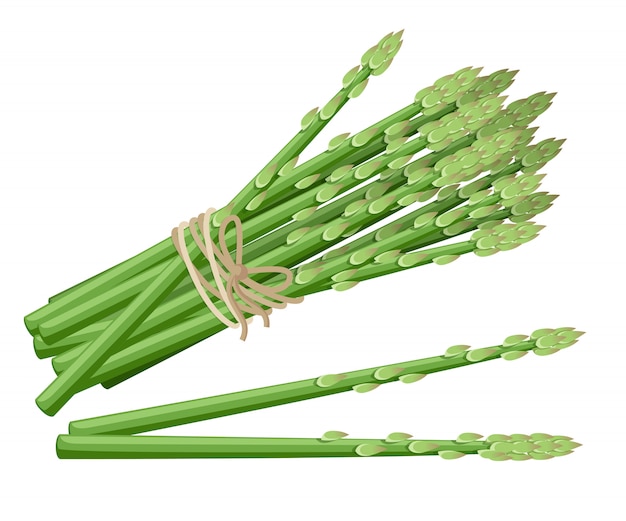 アスパラガスの植物 アスパラガスの束のイラストの茎 装飾的なポスター エンブレム天然物 ファーマーズマーケットのイラスト ウェブサイトページとモバイルアプリ プレミアムベクター
