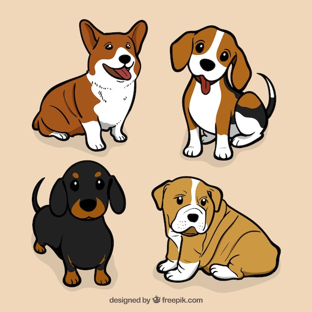 Dog Images | Free Vectors, Stock Photos & PSD