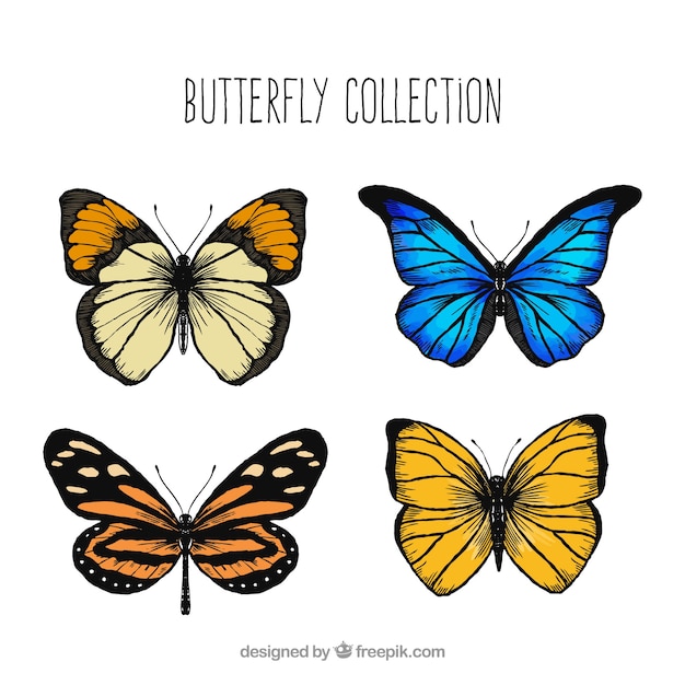 Assortment of decorative butterflies