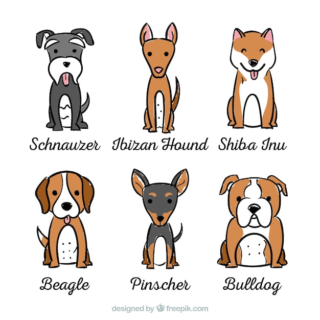 Assortment of dogs with six different\
breeds