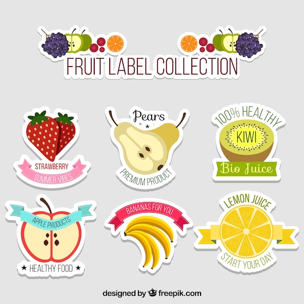 Assortment of flat fruit stickers Vector | Free Download
