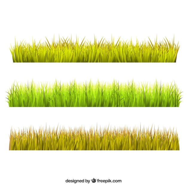 Assortment of flat grass borders