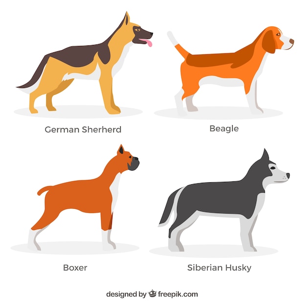 Assortment of four profile dogs