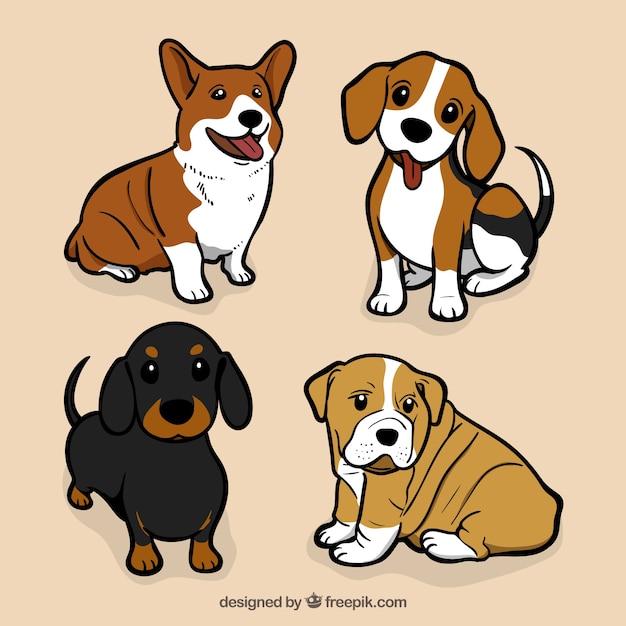 Assortment of great dogs in flat design