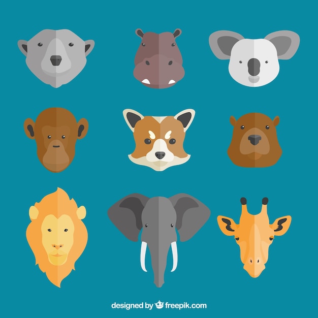 Assortment of nine animals' faces