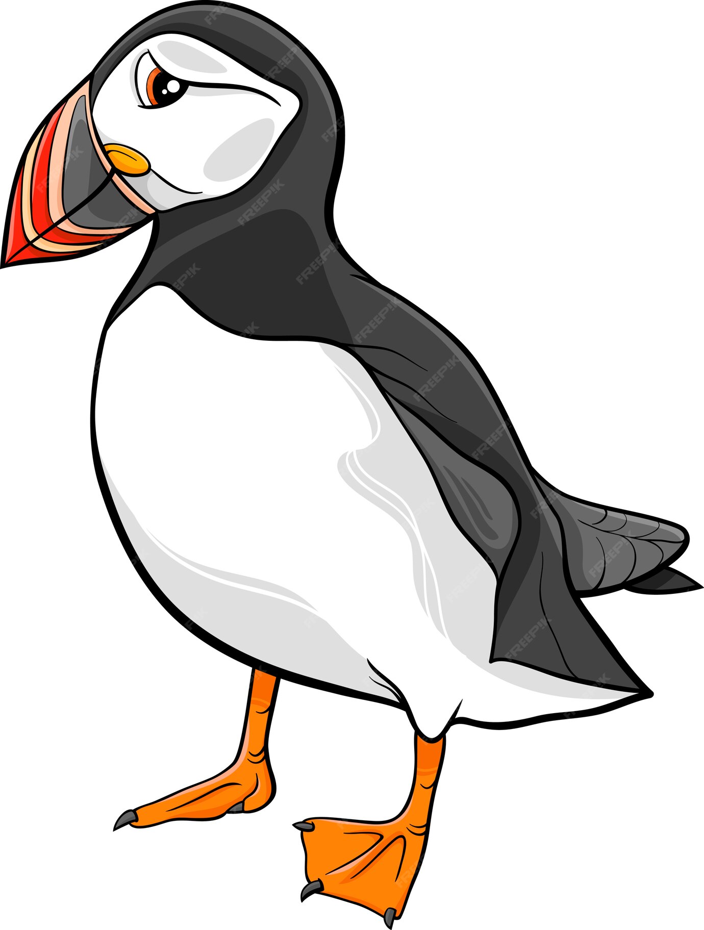 Premium Vector Atlantic Puffin Cartoon Illustration