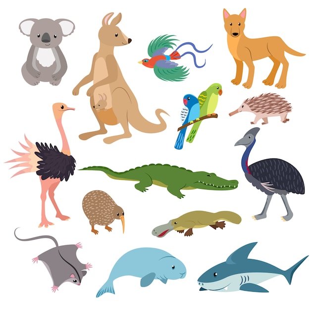 野生動物オーストラリアカンガルーコアラとサメのイラスト動物セット動物野生ウォンバットカモノハシと白い背景で隔離のエミューのイラストセット プレミアムベクター