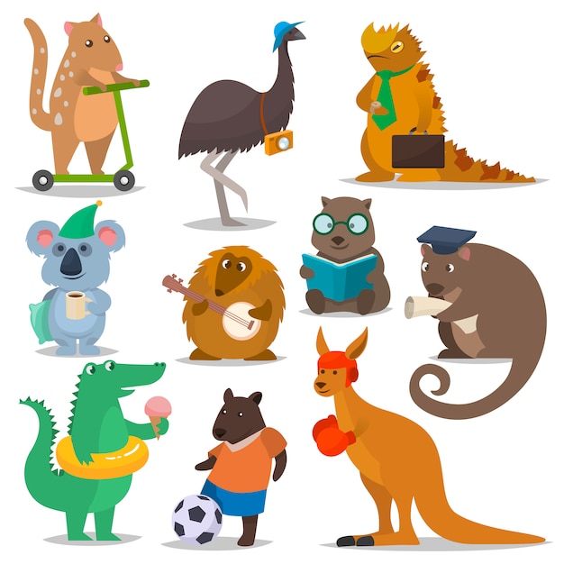 Australian animals vector cartoon animalistic character in wildlife australia kangaroo sportsman koa