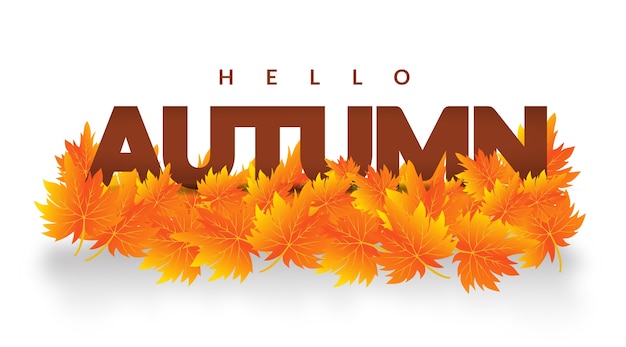 Premium Vector | Autum leaves hello autumn banner design