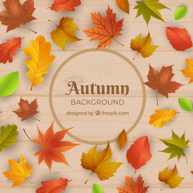 Autumn background with leaves on wood