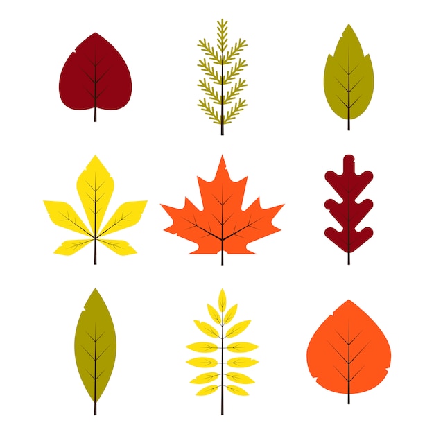 秋の別の葉がフラットスタイルに設定します 赤 緑 黄色 オレンジの葉が白い背景で隔離 メープル スプルース オーク ナナカマド 白樺の紅葉 イラスト プレミアムベクター