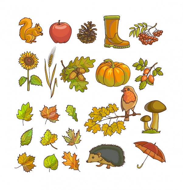 Autumn or fall icon and objects set for design. Premium Vector
