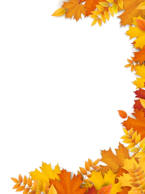 Premium Vector | Autumn fallen leaves frame. empty blank for design of ...