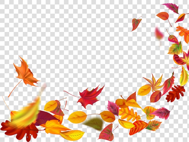 秋の落ち葉 葉が落ちる 風が上がる紅葉と黄色の葉のイラスト プレミアムベクター