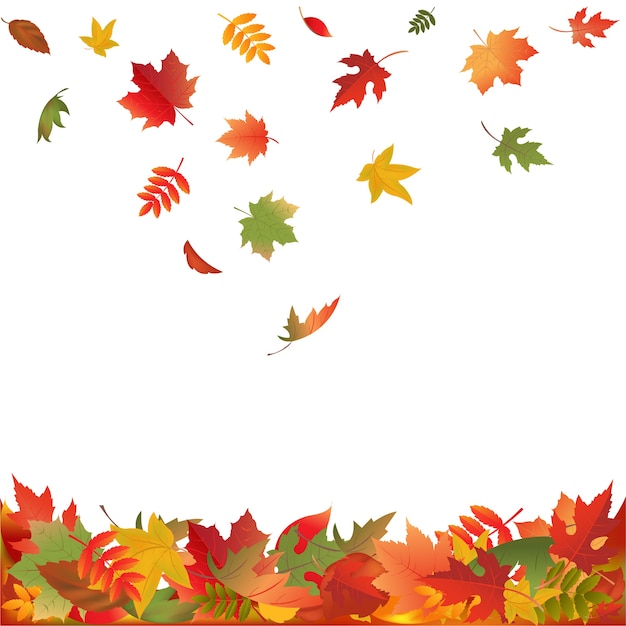 秋の落ち葉 白い背景のイラスト プレミアムベクター