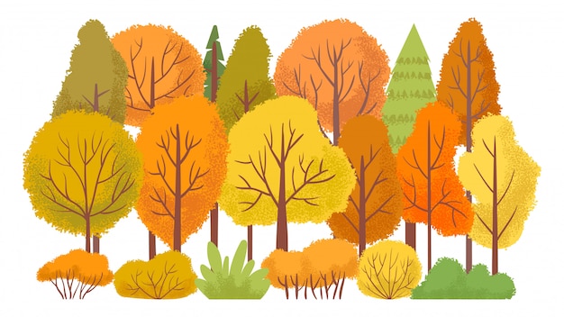 秋の森の木 秋の庭 黄色の木の抽象的な漫画イラスト プレミアムベクター