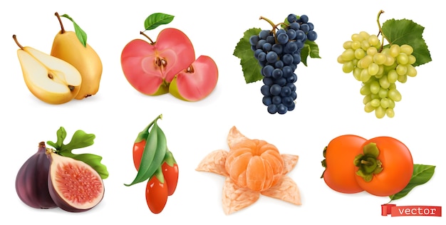 秋の果物とベリーのイラストセット プレミアムベクター