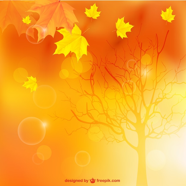 Autumn landscape background