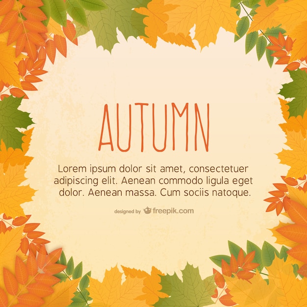 Autumn leaves background