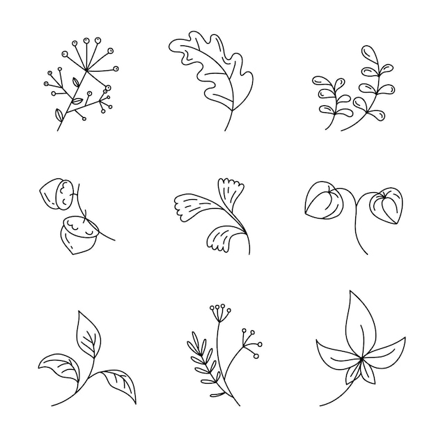 Premium Vector | Autumn leaves, branches and plants in doodle style on ...