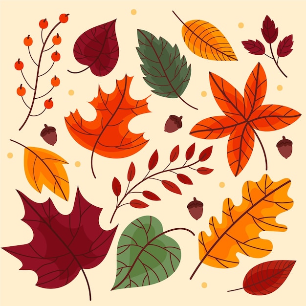 Autumn leaves collection design Free Vector