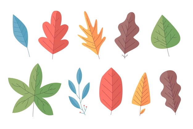 Free Vector | Autumn leaves collection
