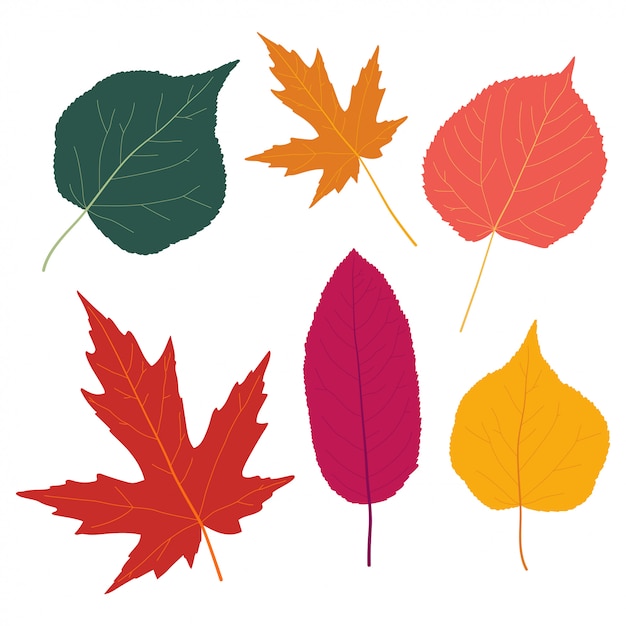 Premium Vector | Autumn leaves flat silhouettes set isolated on white ...