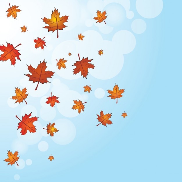 Autumn leaves on a blue background
